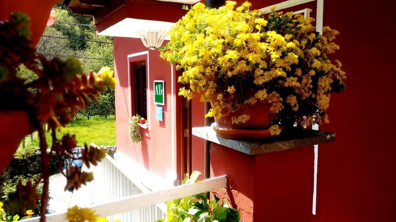 Apartamentos Huerta Carua I Y II Piloña Εξωτερικό φωτογραφία